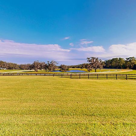 Two Springs Farm Guesthouse A Micanopy Εξωτερικό φωτογραφία